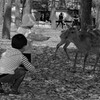 I奈良公園