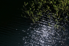 水辺に光る太陽