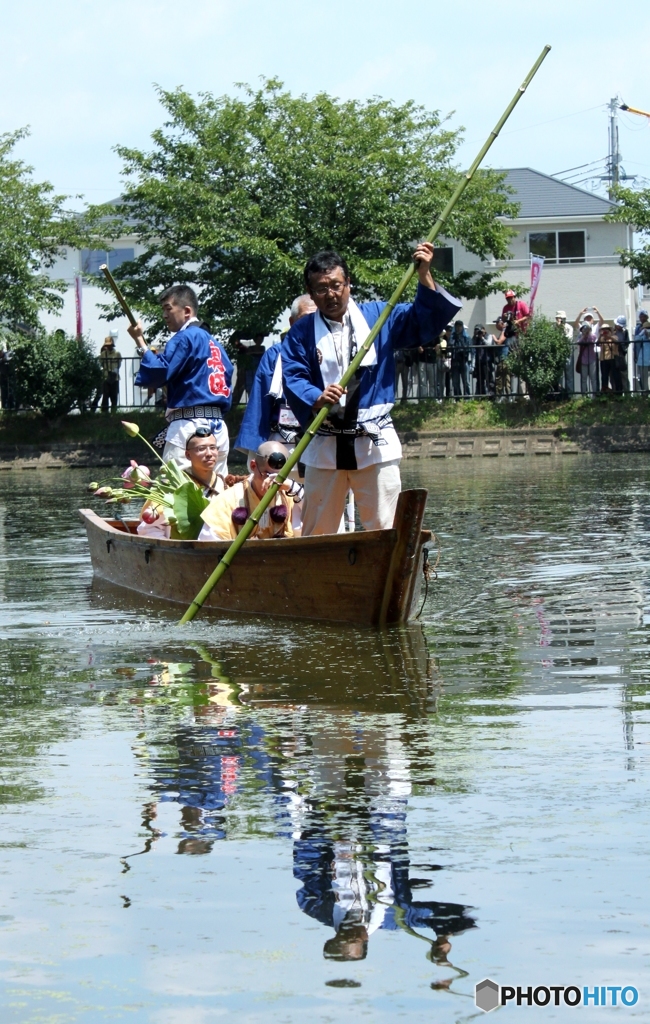 奥田の蓮取り　3