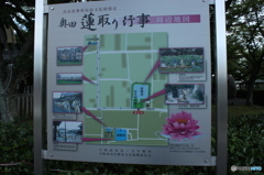 I蓮取り