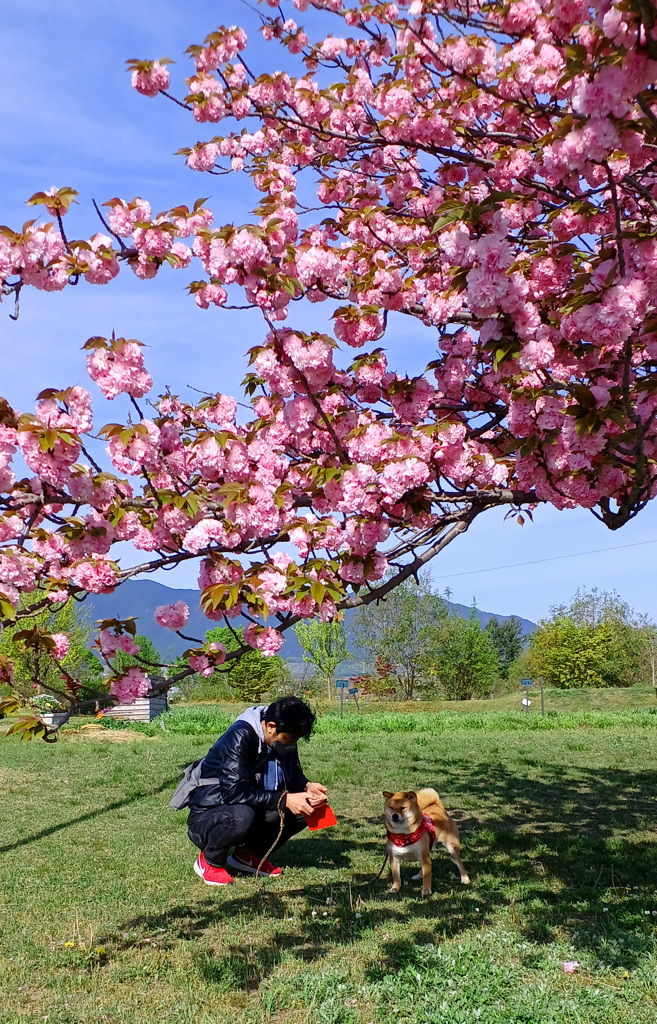 ワンちゃんと
