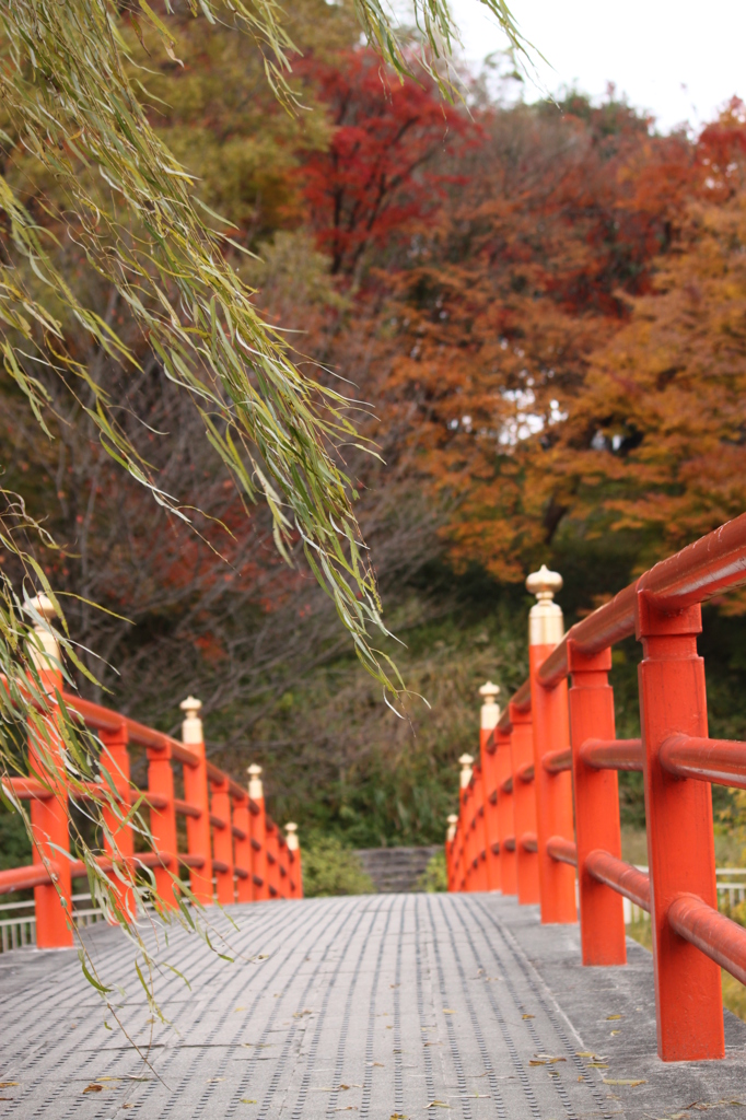 竜田川の紅葉　1