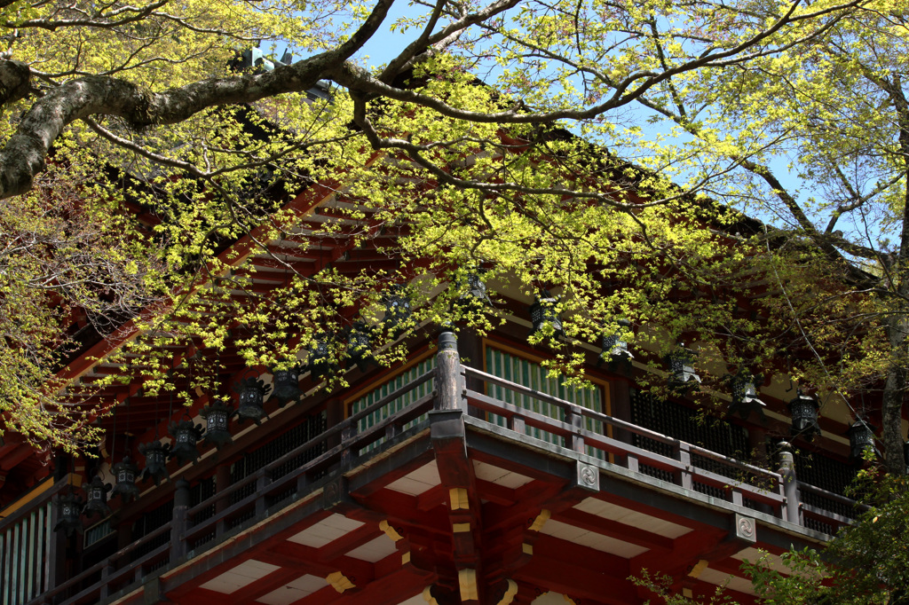 談山神社　2