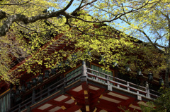 談山神社　2