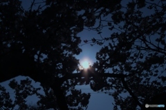 夕暮れ