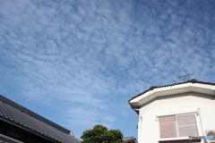 白い雲