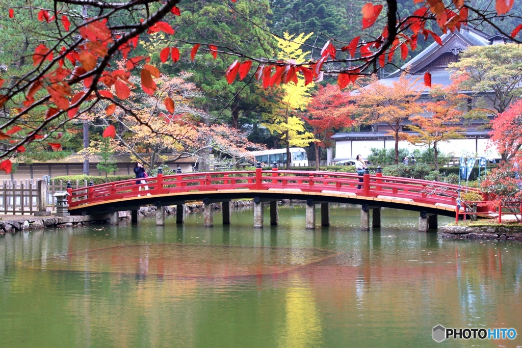 紅葉の映り込み