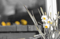 CSC_0552 3-2