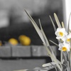 CSC_0552 3-2