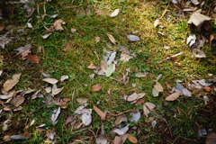 DSC02418