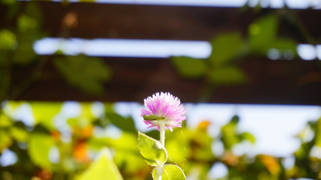 1bb037f070b1100768c01e4208b40d42