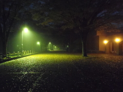 PB070015　夜霧