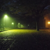 PB070015　夜霧