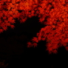 夜に浮かぶ