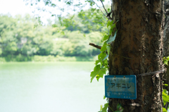 鳥原貯水池と周辺のスナップ