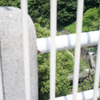 鳥原貯水池と周辺のスナップ
