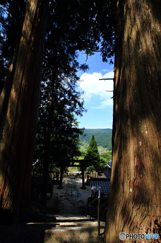 御神木の間から見た光景