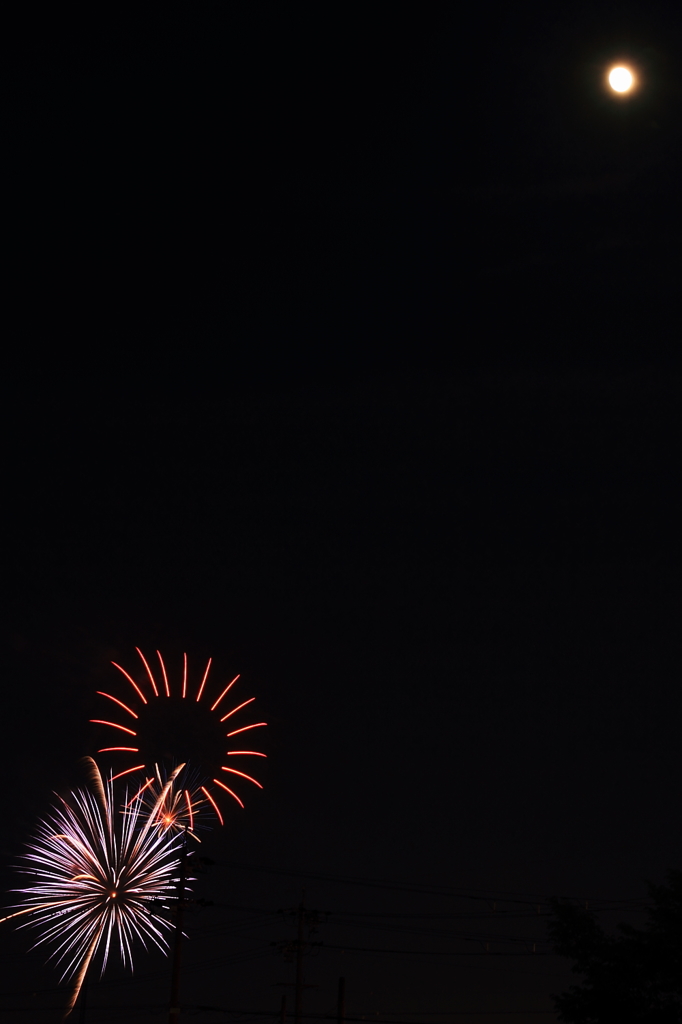 月と花火