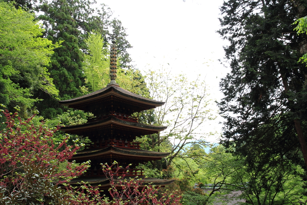 室生寺－五重塔