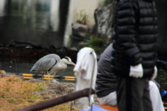 早く釣れないかなあ～