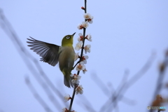 飛び立つ瞬間