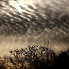light shower 1