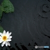 雨に咲く 3