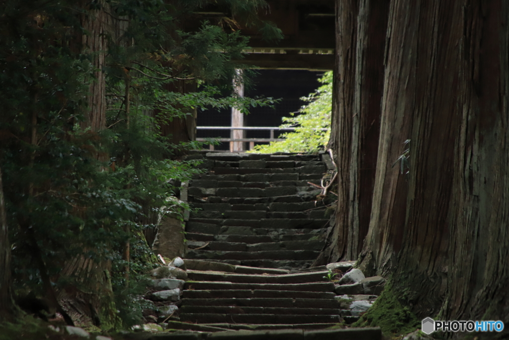 門