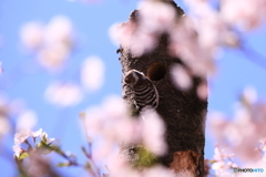 花に囲まれて！