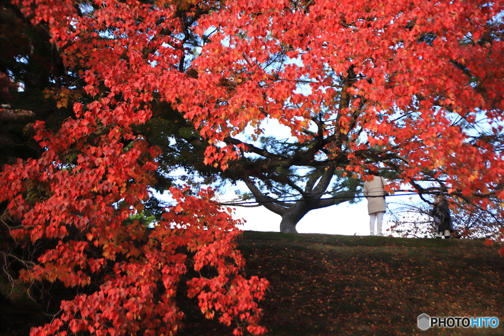 紅葉を背景にパチリ！