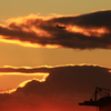 夕陽と飛行機