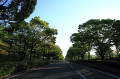 クルマの居ない車道（広角）