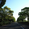 クルマの居ない車道（広角）