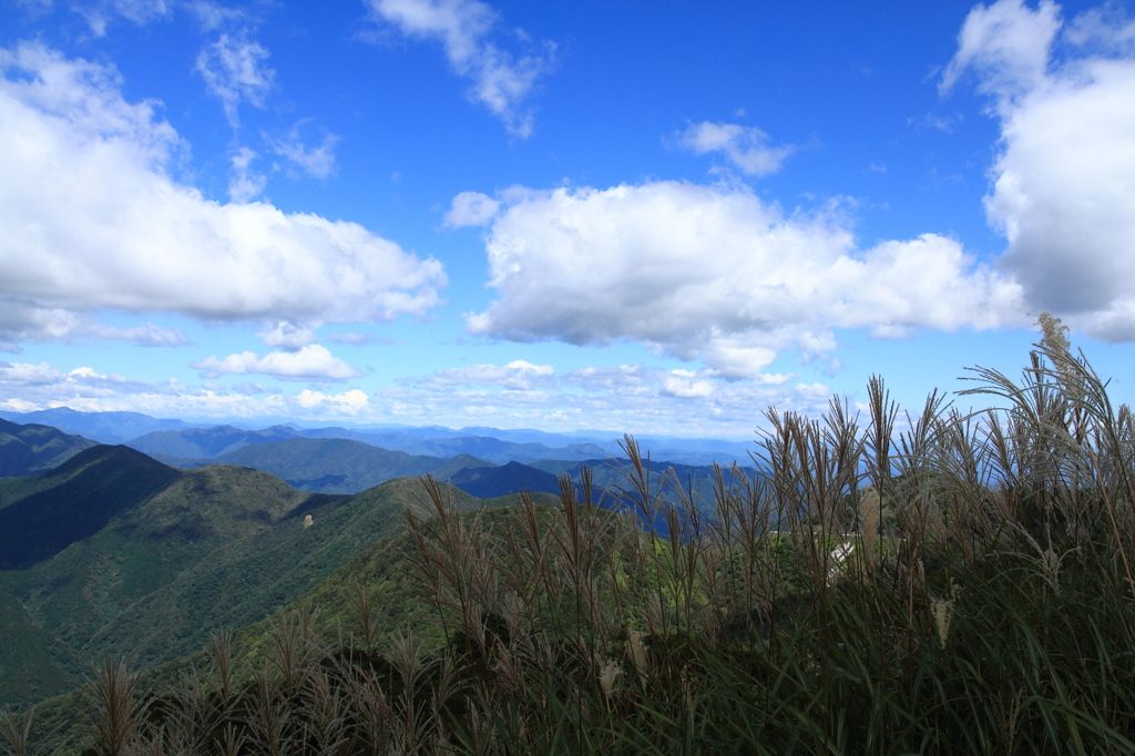 初秋の伊吹山－ススキと青空