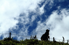 初秋の伊吹山－登山客（女性）