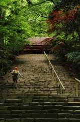 室生寺にて―階段２