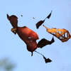 空中浮遊術