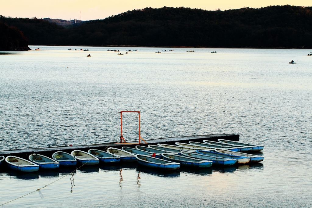 入鹿池の朝（遠景）