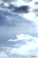 夏の空