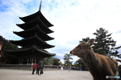 奈良へ行きました　2