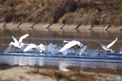 水上ダッシュ！