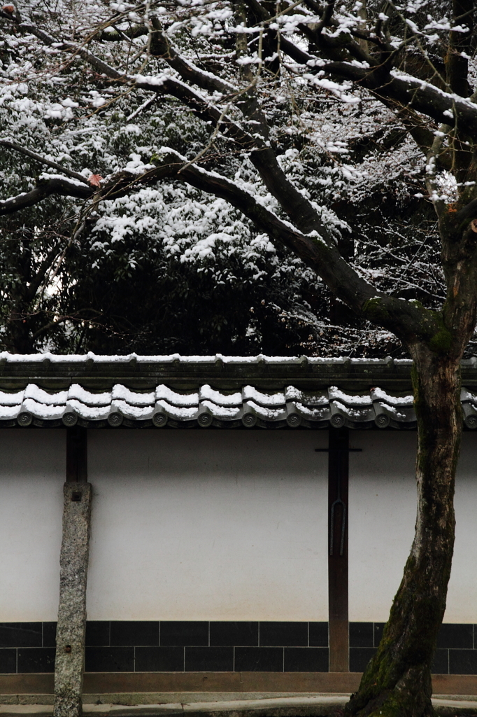 雪の風景
