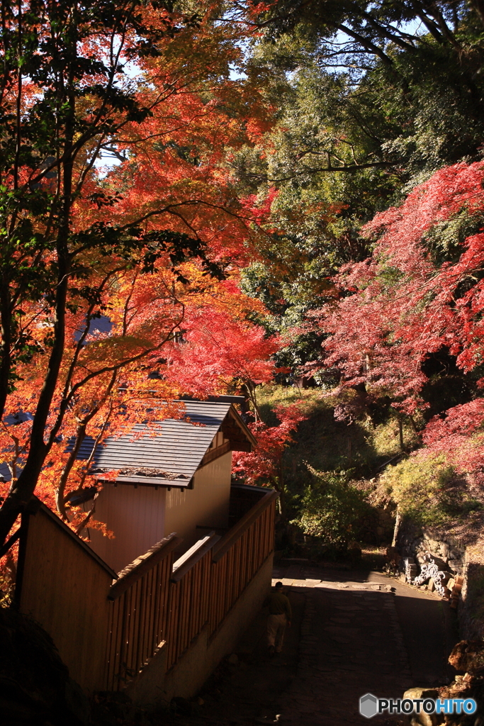 振り返れば絶景