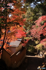 振り返れば絶景