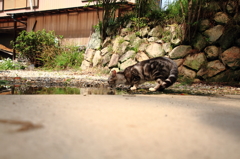 水を飲む