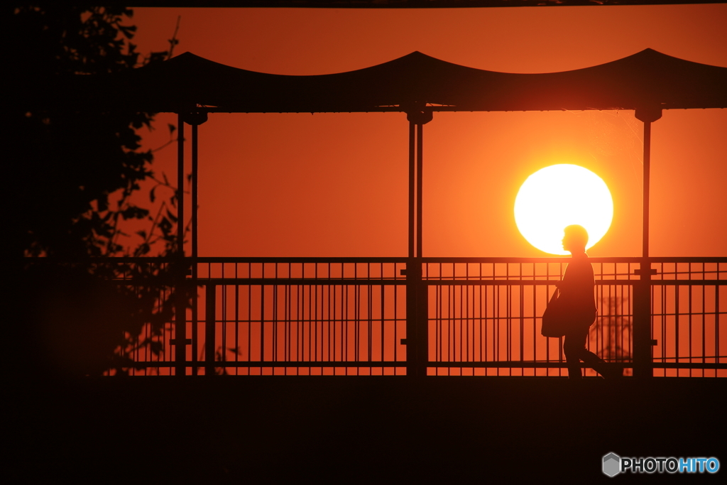 夕陽の連絡橋