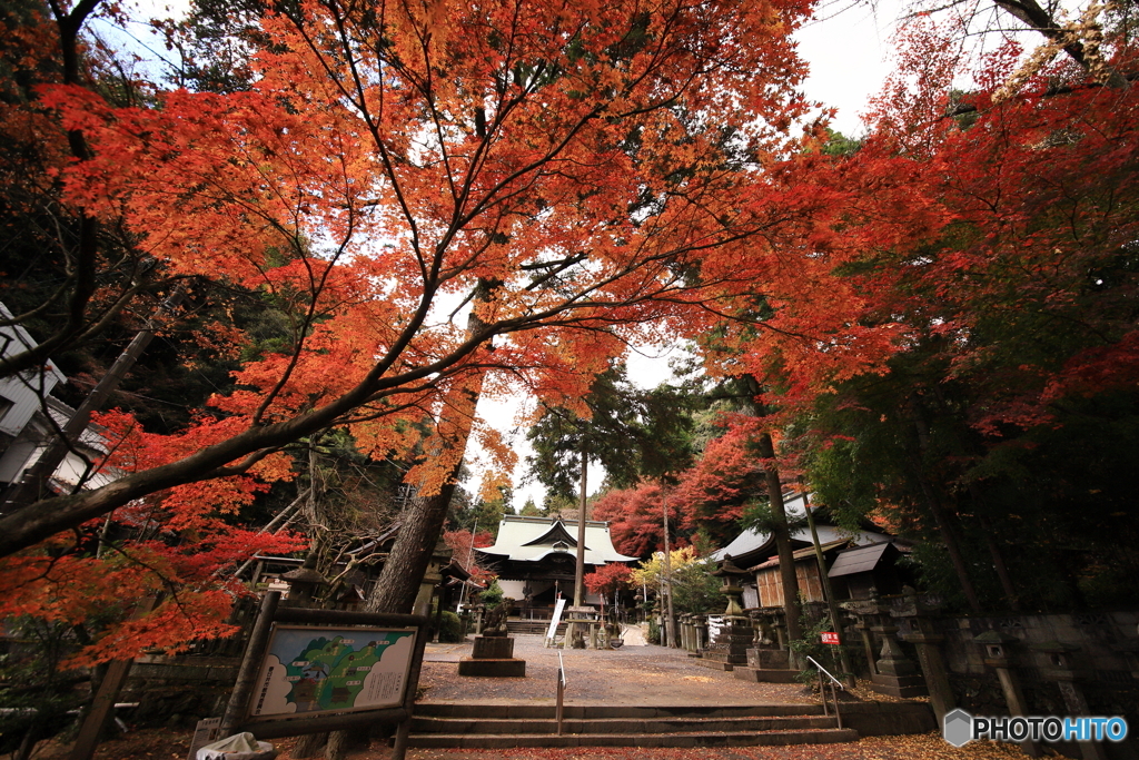 内々（うつつ）神社の紅葉1