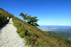 初秋の伊吹山－登山道