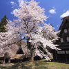 桜咲く世界遺産 6