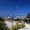 美ら海水族館